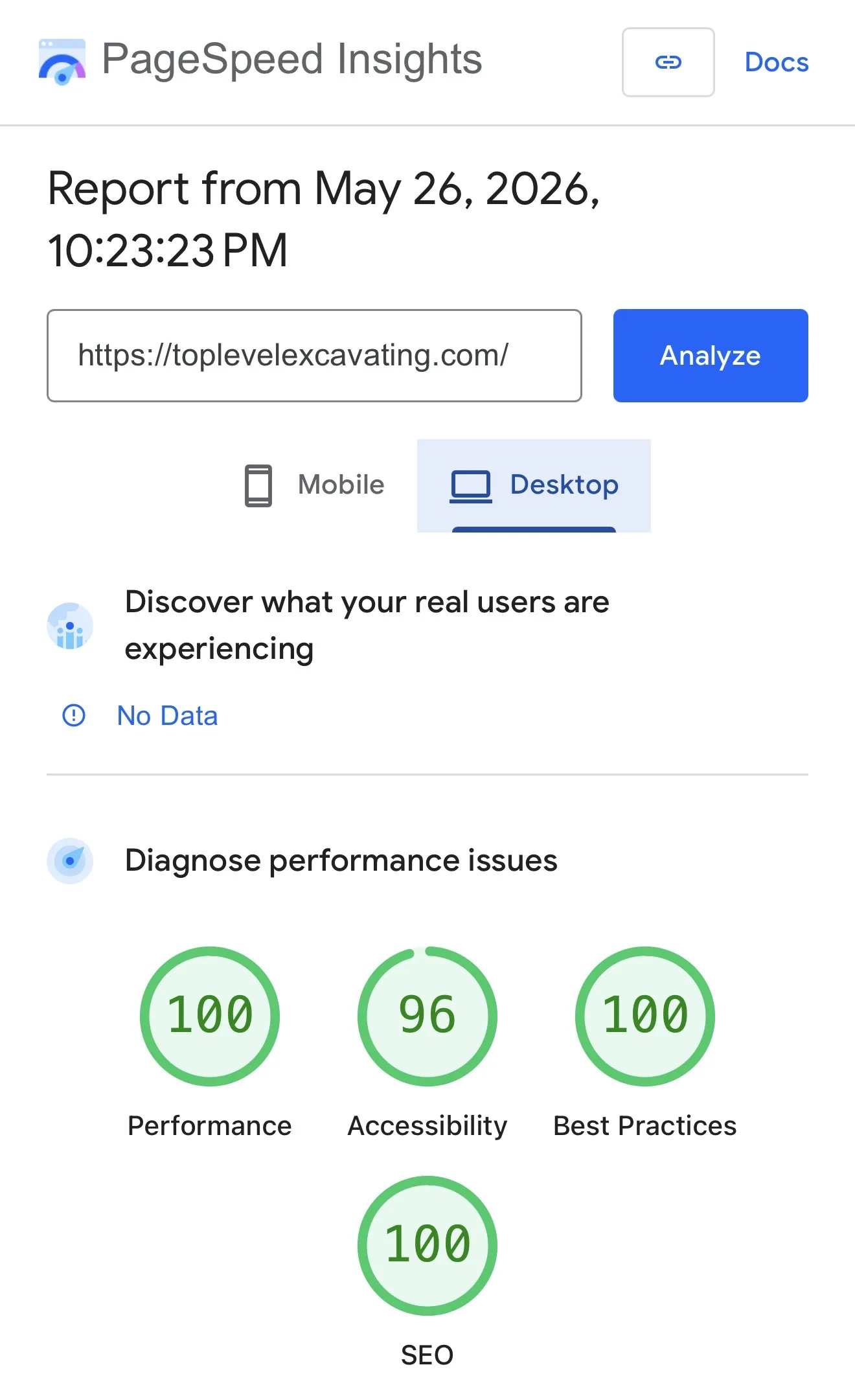 Desktop PageSpeed Insights lab report for the Top Level Excavating website